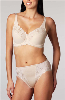 Embroidered Minimizer Full Brief�������